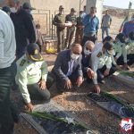 شهرداری یانچشمه